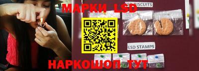 гидропоника Краснодар