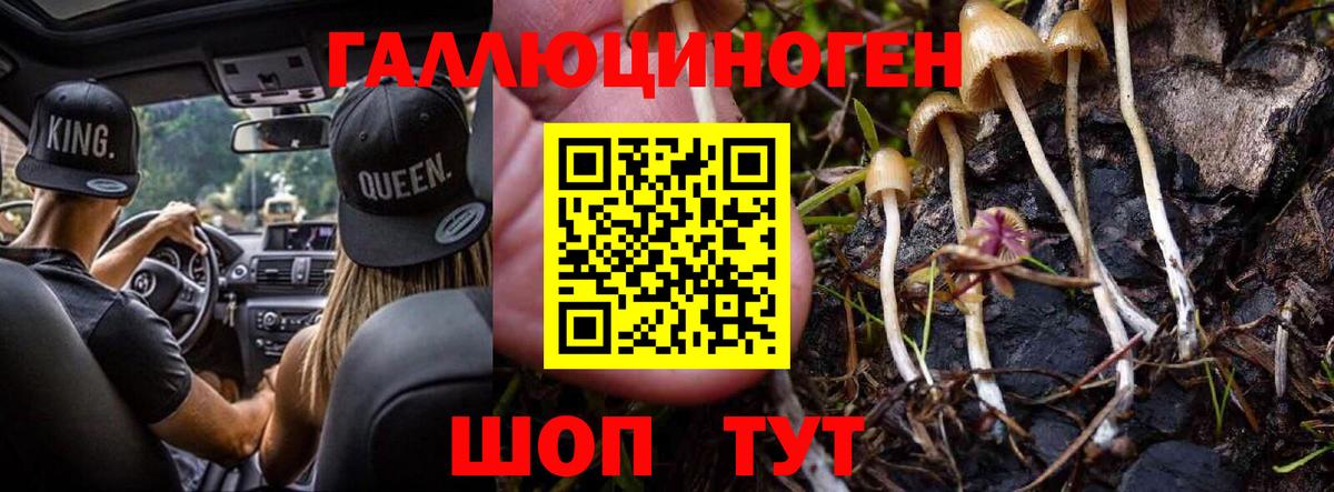Галлюциногенные грибы Magic Shrooms  Вход с VPN  дарнет шоп  Галлюциногенные грибы Magic Shrooms  Ялта 